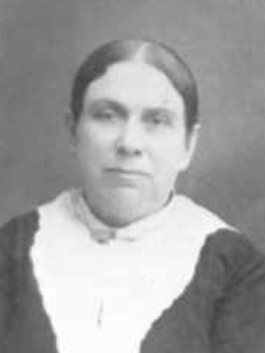 Hannah Adams Harrison (1832 - 1891) Profile